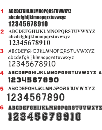 Textildruck Vereinsname einzeilig (Rücken)